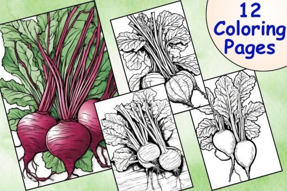 Download 12 Printable Beetroot Coloring Pages - Color Collection