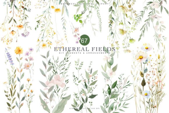 Download Watercolor Delicate Wildflower Clipart - Color Collection