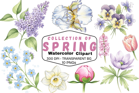 Download Delicate Spring Watercolor Florals - Color Collection