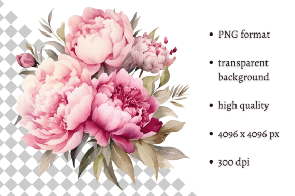 Download Watercolor Delicate Peonies Clipart - Color Collection